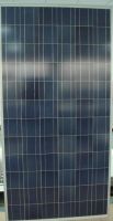 Sell poly solar panel 270W