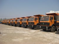 Sell North Benz Tipper Trucks