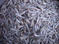 Sell Dried Anchovy