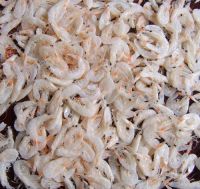 Sell Dried Small Shrimp