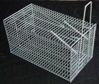 Sell catching trap cage