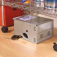 Sell automatic catching mouse trap