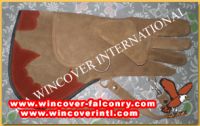 Falconry Suede Leather GLove