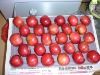Sell red delicious apple