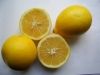 Sell fresh lemon