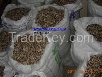 Exporters Of Natural Moringa Seed