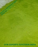 Exporters Of Natural Moringa Leaf Powder