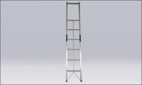 Foldaway single ladder