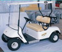 Golf cart (RS-GC2B)