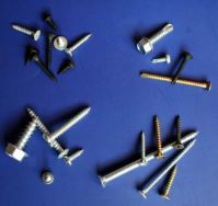 Sell all kinds of Screws