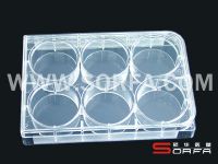 Sell Cell (Tissue) Culture Plates 6-hole