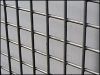 Sell stainless steel welded wire mesh, galvanized welded wire mesh