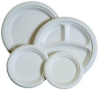 biodegradable bagasse plates