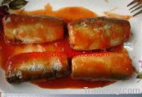 Sell canned sardine in tomato sauce