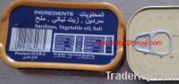 Sell canned sardine in oil