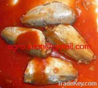 Sell 155gr canned mackerel in tomato sauce