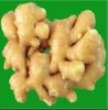 Sell Ginger Extract