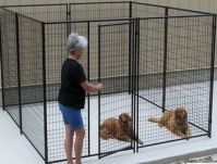 Dog kennel