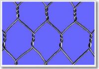 Sell Hexagonal Wire Mesh Netting