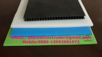 Sell Polypropylene PP Hollow Board