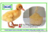 feed additives choline chloride