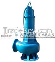 Submersible Sewage Pump