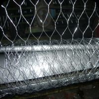 Sell the hexagonal wire netting for safe and poultry cage