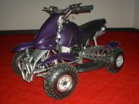 Mini Quad/Mini ATV