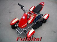 Mini Quad/49cc ATV