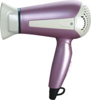 hair dryer(QL-5803)
