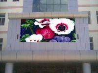 Outdoor full color LED display p20