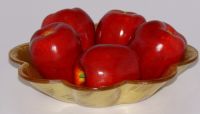acrylic fruit plate/Tray