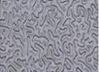 Sell Pattern Embossed Aluminium Coils--Stucco2