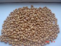 Sell cowpea
