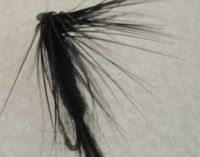 Sell fly hook20