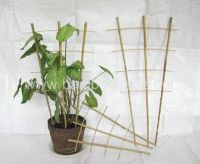 Sell Bamboo trellis