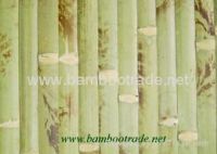 Sell 25mm green tortoise  bamboo wallpaper