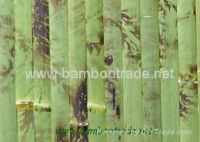 Sell 2.5cm green tortoise bamboo wallpaper