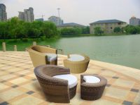Sell outdoor furniture, Plastic rattan furniture, lounge D313