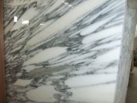 Sell Arabescato corchia white marble