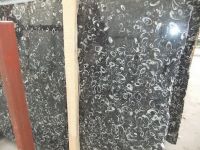 Sell Seashell black marble slabs and tiles