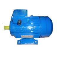 Sell Y2 Series Cast Iron Induction Motor