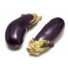 Fresh Eggplant Competitive Price