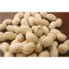 Egyptian Peanut Competitive Price