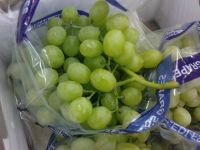 Fresh Grapes Competitive Price