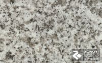 Sell granite of G603