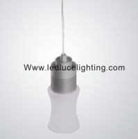 LED bulbs pendant light