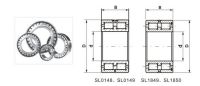 Sell double row completement cylindrical roller bearings