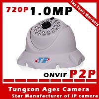 H.264 P2P 1.0MG Dome Ip Camera dome cctv camera