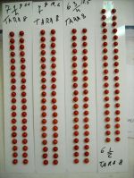 coral l beads red  italy